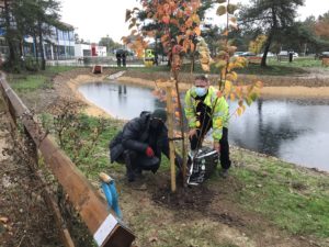 Trees being planted at Colchester Hospital by Simon Pryke and Scott Bastick, who work for Environmental Design.