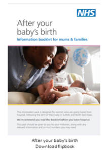 Download the flipbook - After your baby's birth
