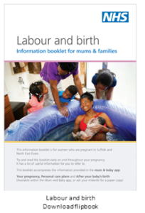 Download the flipbook - Labour and birth