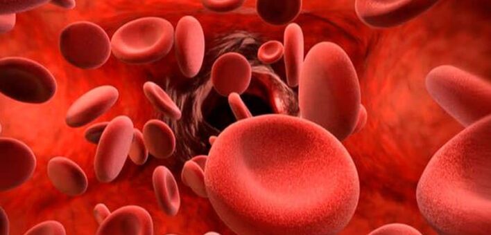 A picture of some red blood cells
